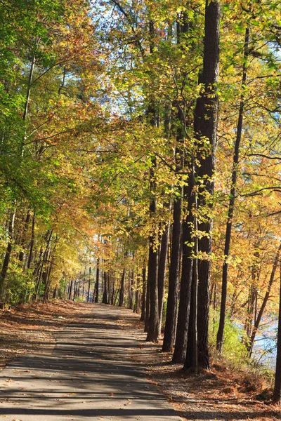 Caminho a pé no parque Lake Johnson de Raleigh, NC — Fotografia de Stock