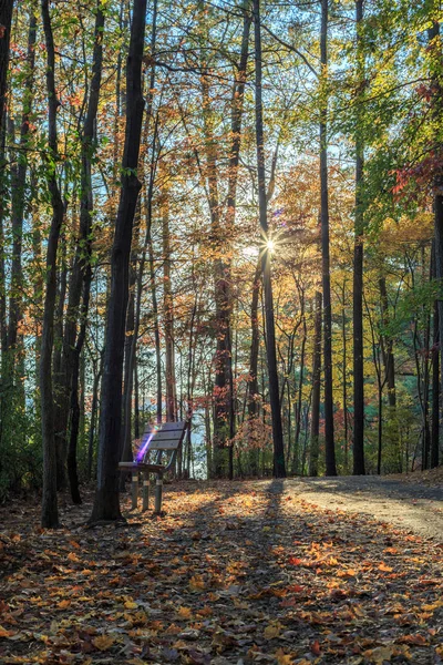 Caminho a pé no parque Lake Johnson de Raleigh, NC — Fotografia de Stock