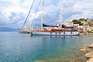 Zakkum çiçekleri ve marmaris Limanı Türk bayrağı 