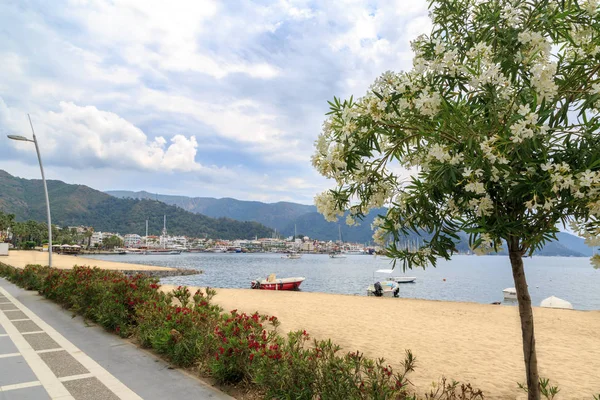 Oleandri sulla spiaggia di marmaris con vista sul centro della città Fotografia Stock