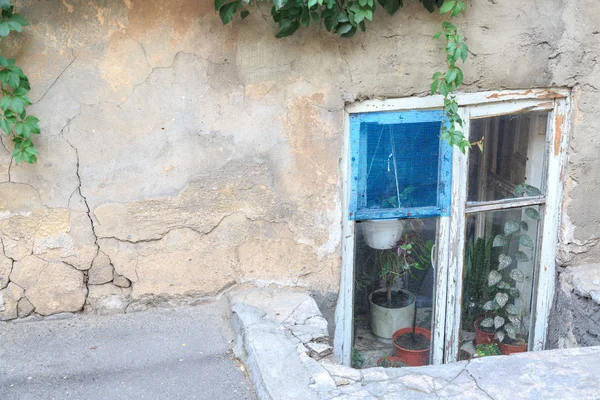 Odessa, Ukrayna bitkilerde ile eski pencere