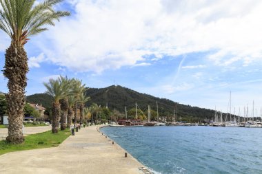 Göcek limanı ile palmiye ağaçları, Gocek, Türkiye