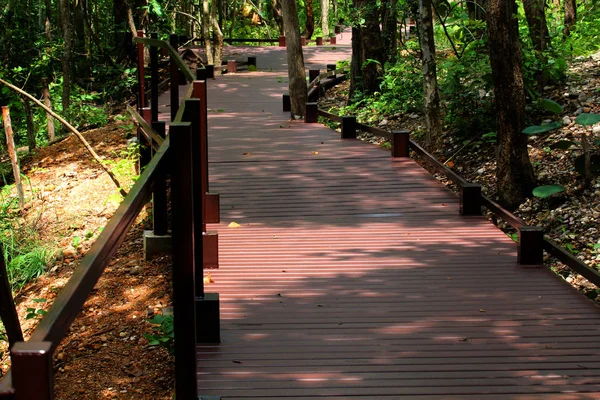 Bridge walkway in the park — Stock Photo, Image