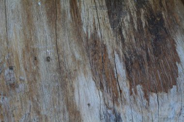 Eski ahşap, doğal rengini, arka plan resimleri.