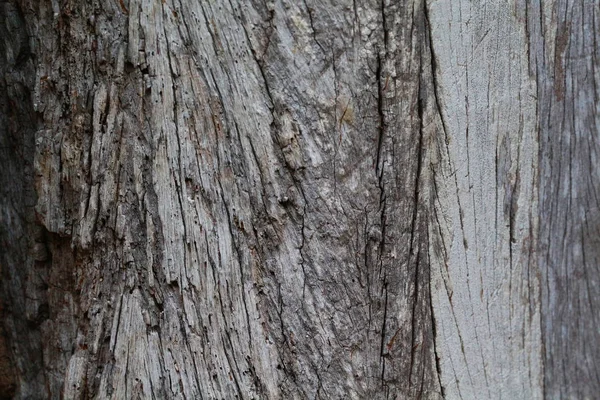 Immagini di legno vecchio, colore naturale, per lo sfondo . — Foto Stock