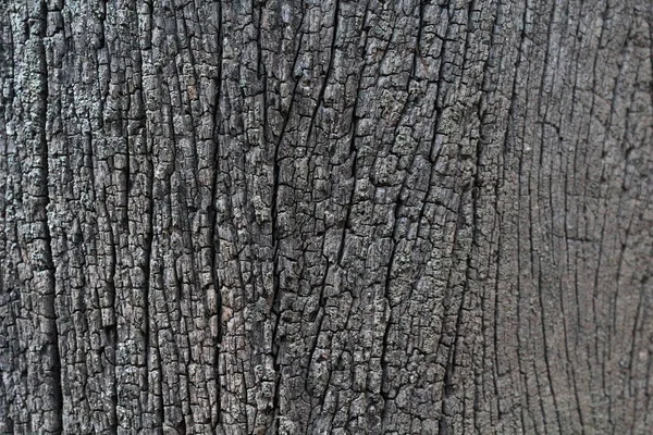 Immagini di legno vecchio, colore naturale, per lo sfondo . — Foto Stock