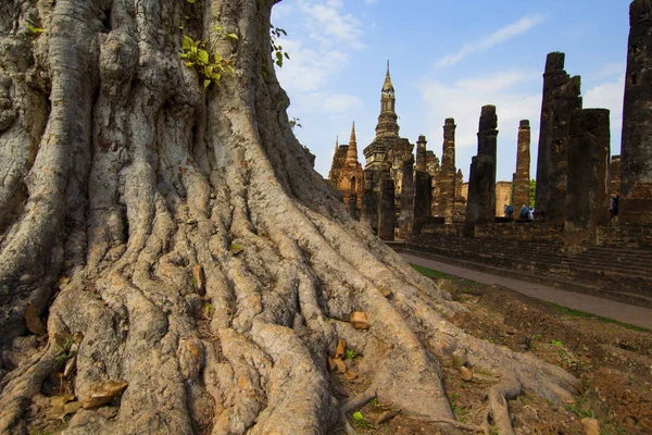 Образ исторического парка Сукхотай с корнями этого метра — стоковое фото