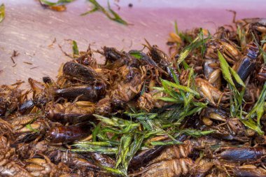 Fried böcek, Tayland, Tayland gıda