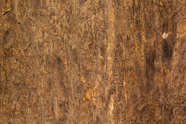 Corteccia texture Struttura in legno per lo spazio di sfondo per il testo — Foto Stock