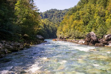 Tara Karadağ'daki hızlı dağ Nehri üzerinde tekne rafting