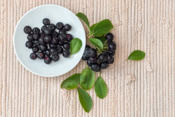 Close up of Aronia melanocarpa berries (black chokeberry) with leaves in white dish on textile background — Stock Photo, Image
