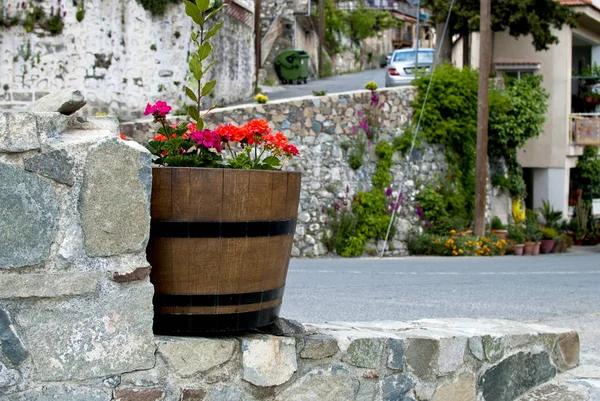 Vaso di fiori sulla strada Foto Stock Royalty Free