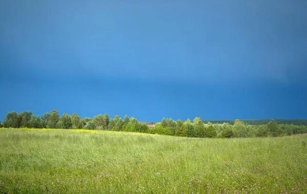 Bir fırtına sonra çalılar ile köy yeşil alan