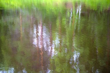 Su yansımaları, ağaç ve gökyüzü arka plan bulanık