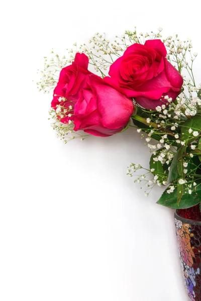 Beyaz bir adam üzerinde gypsophila çiçekli güzel kırmızı gül