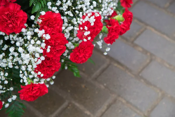 Beyaz çiçekler gypsophila yeşil yaprakları ile birlikte kırmızı karanfiller