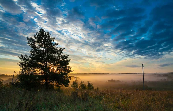 Rustikale Herbstlandschaft Morgengrauen Der Schöne Azurblaue Himmel Mit Weißen Zirruswolken — Stockfoto