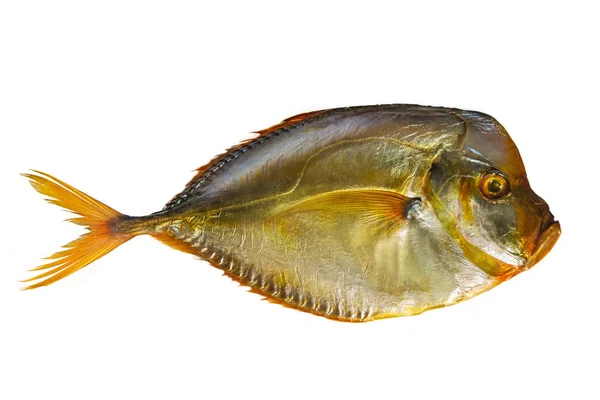 Pescado ahumado sobre fondo blanco aislado . — Foto de Stock