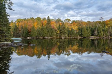 Sonbahar yaprakları yansıtan bir gölde - Ontario, Kanada
