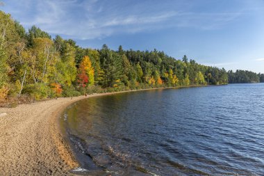 Sandy kıyı Gölü sonbahar - Ontario, Kanada içinde
