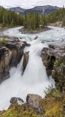 Sunwapta Falls - Jasper Milli Parkı