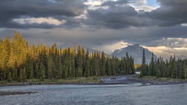 Athabasca nehir arka planda Rocky Dağları ile gün batımında