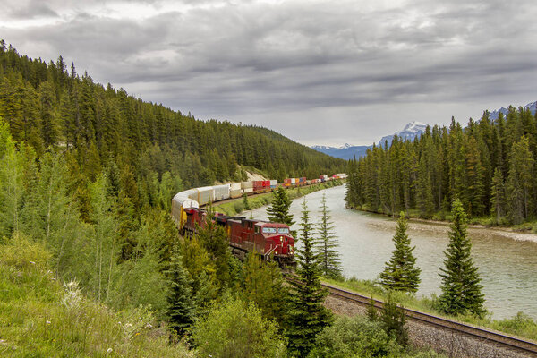 Freight Train in the Bow Valley - Banff National Park