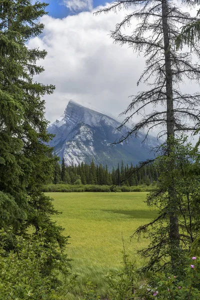 Louka s horami v pozadí - Np Banff, Kanada — Stock fotografie
