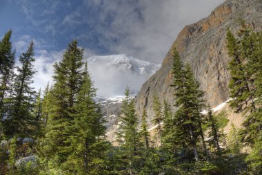 Dağlarda erken yaz - Jasper National Park, Amerika Birleşik Devletleri