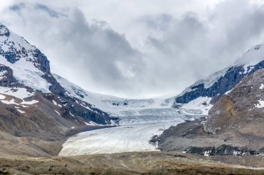 Columbia Icefield 2016 - Jasper National Park, Alberta, Kanada