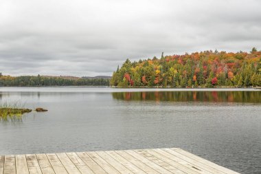 Göl Güz Renkler ve Dock ön planda - Algonquin Pr