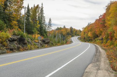 Dolambaçlı yol sonbaharda renkli ağaçları ile kaplı 