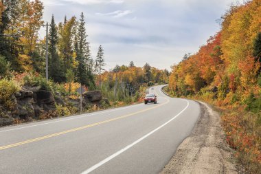 Dolambaçlı yol sonbaharda renkli ağaçları ile kaplı 
