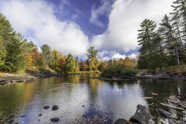 Bir orman yoluyla sonbahar - Ontario, Kanada akan nehir