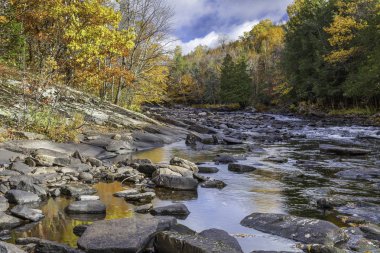 Bir orman yoluyla sonbahar - Ontario, Kanada akan nehir