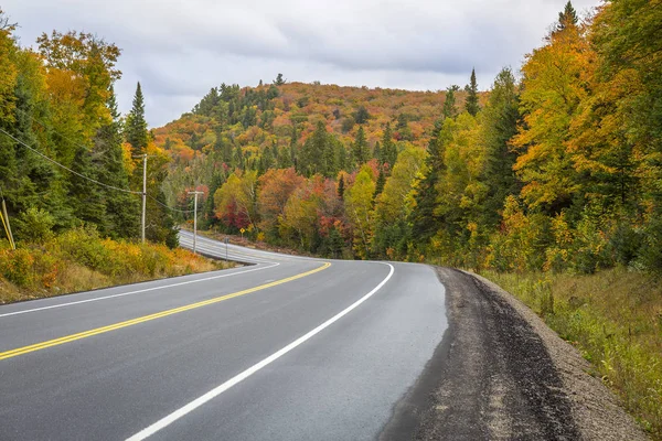 Bir orman sonbahar renk - Ontario, Kanada üzerinden dolambaçlı yol