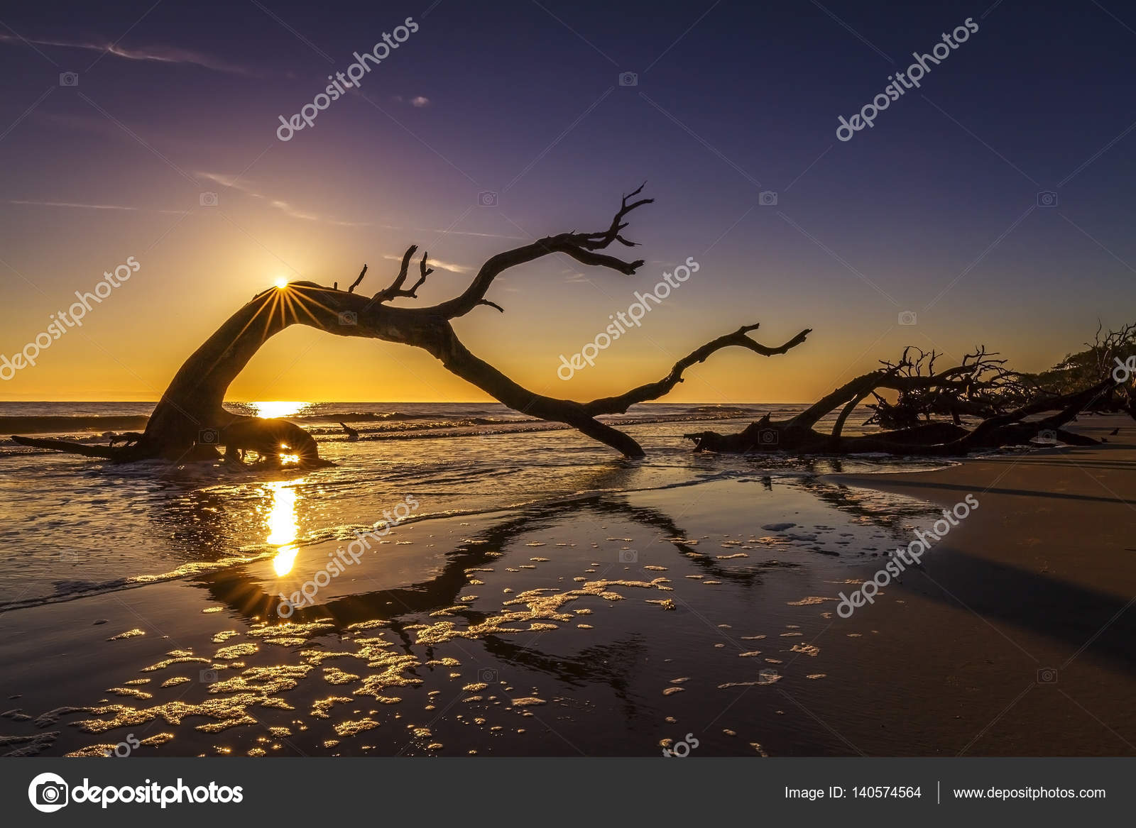 Sunrise Over Driftwood Beach - Jekyll Island — Stock Photo © gonepaddling  #140574564, image size:1600x1167