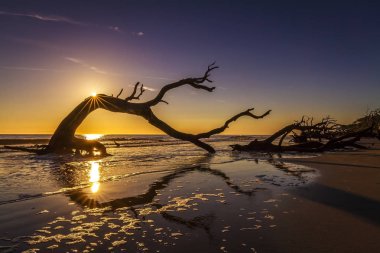 Sunrise Over Driftwood Beach - Jekyll Island clipart