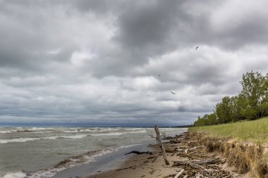 Göl Huron dalga eylem tarafından neden olduğu kumul erozyon