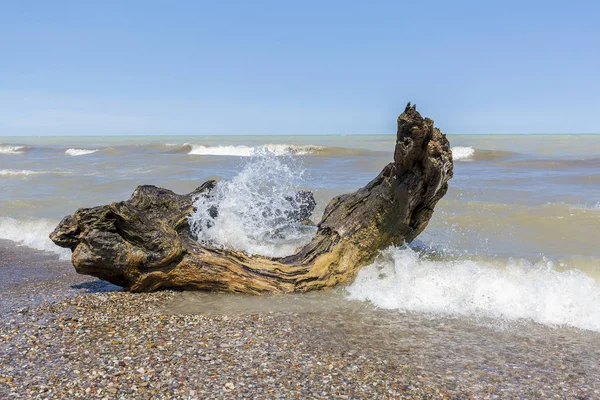 Dalgalar dalgaların karaya attığı odun bir göl Huron plajda üzerine çökmesini — Stok fotoğraf