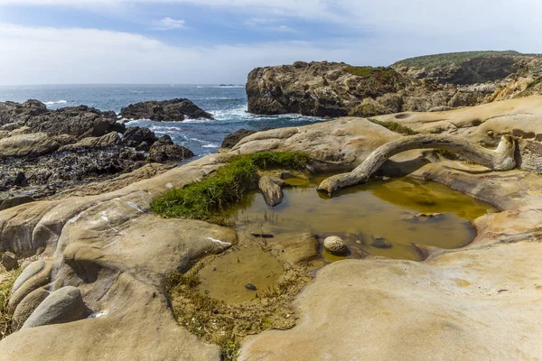 Monterey Peninsula Costa - California — Foto Stock