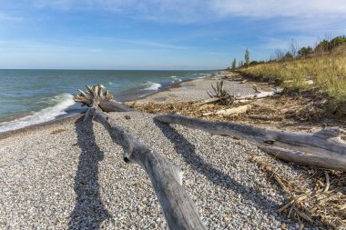 Dalgaların karaya attığı odun ve çakıl bir göl Huron plajda