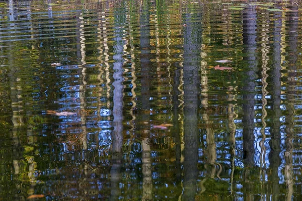 Árboles otoñales reflejándose en un estanque - Ontario, Canadá —  Fotos de Stock