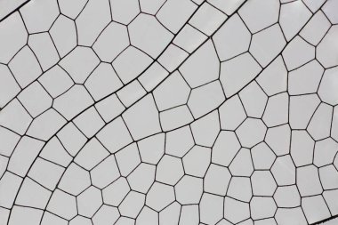 Magnified View of a Dragonfly Wing clipart
