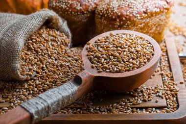 Buğday fasulye masada