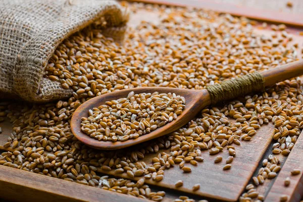 Buğday fasulye masada