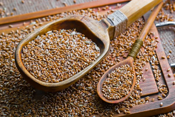 Buğday fasulye masada