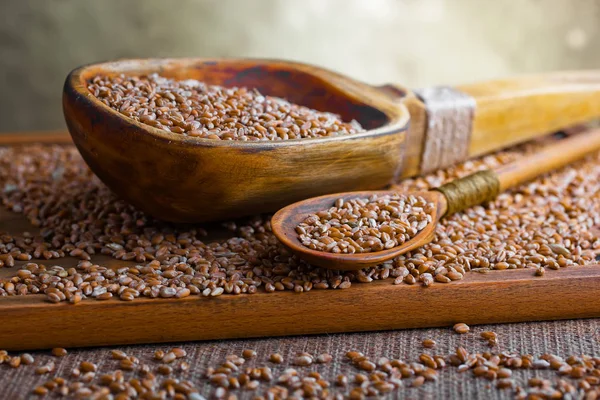 Buğday fasulye masada