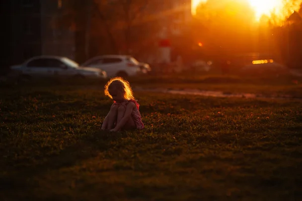 Маленькая Девочка Сидящая Цветочном Лугу Закате Золотой Час Низкий Ключ — стоковое фото