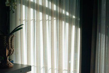 Güneşli bir günde pencere perdeleri. Verdna 'daki ışık perdeleri. Penceredeki açık sarı perdeler